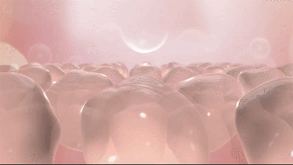 胶原吸收过程.gif
